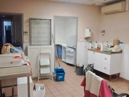 murs cabinet veterinaire