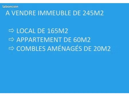 local 245 m² marseille