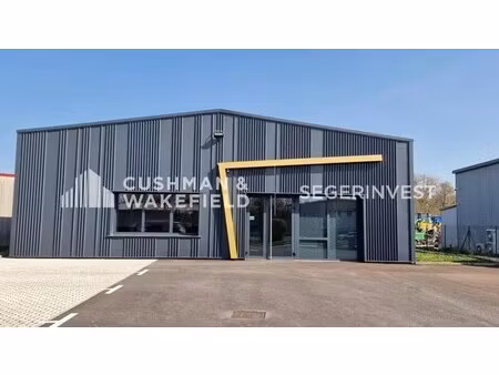 location bureaux 240 m²