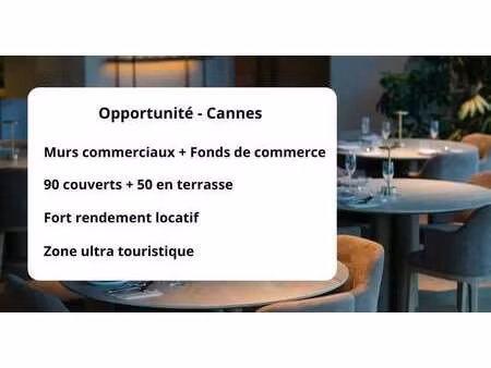 vente commerce cannes 06400 150m²