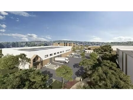 vente local d’activités ezanville 95460 747m²
