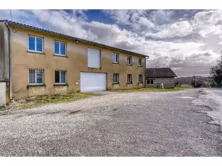 vente local d’activités maransin 33230 600m²