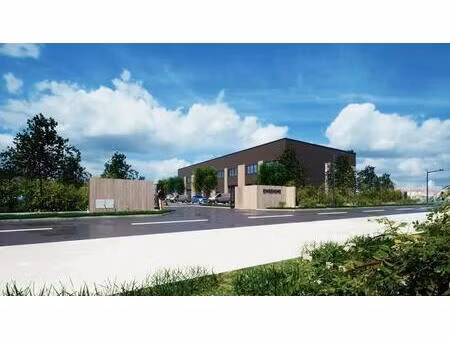 vente local d’activités nangis 77370 246m²