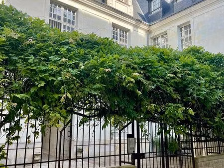 t1 meublé quartier tanneurs-vieux tours