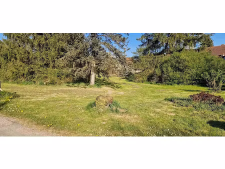 vente terrain 878 m² à cirey (70190)  38 500 €