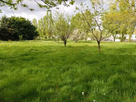 vente terrain 400 m² à beaufou (85170)  40 000 €