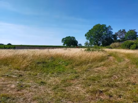 vente terrain 1000 m² à louzac-saint-andré (16100)  30 000 €