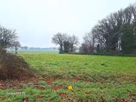 vente terrain à louvigné-de-bais (35680) : à vendre / 889m² louvigné-de-bais