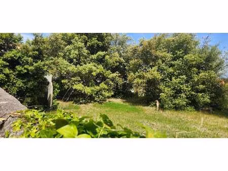 vente terrain à la guérinière (85680) : à vendre / la guérinière