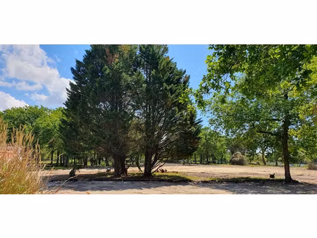 vente terrain 1000 m² à hourtin (33990)  219 000 €