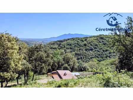 vente terrain 6454 m² à reynès (66400)  81 000 €
