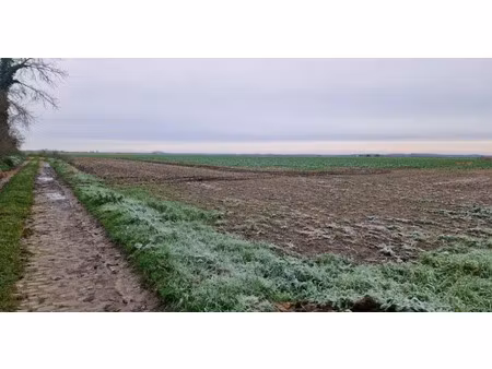 vente terrain 552 m² à roucourt (59169)  83 100 €