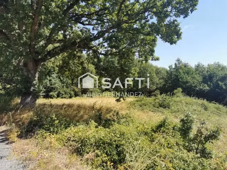 vente terrain à batir 1760 m² à boussens (31360)  45 000 €