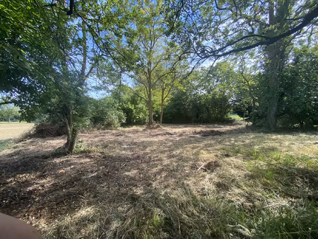 beau terrain arboré de 655 m2 en diffus