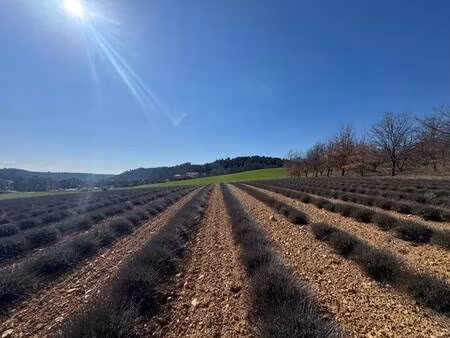 verdon agence riez