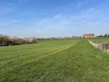 magnifique terrain plat