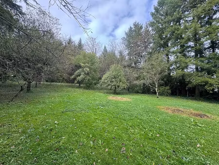 vente terrain 1561 m² à novillars (25220)  99 000 €
