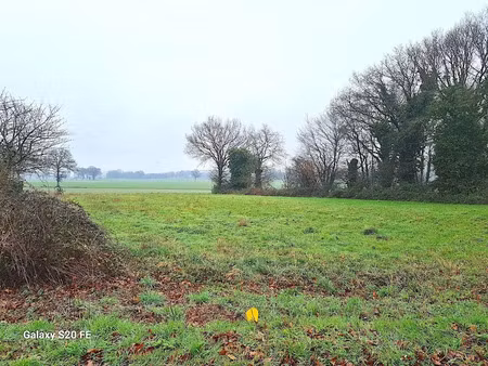 vente terrain à batir à louvigné-de-bais (35680)  99 879 €