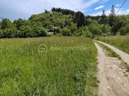vente terrain 2875 m² à saint-jean-du-bruel (12230)  150 000 €