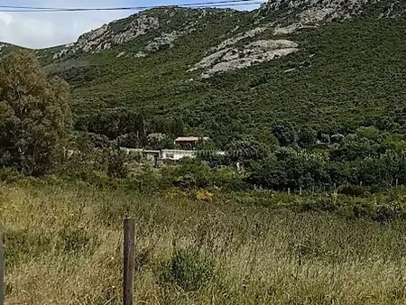 vente terrain à batir 2620 m² à moncale (20214)  412 650 €