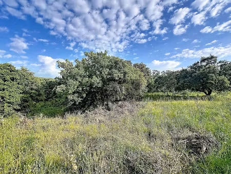 vente terrain 1800 m² à calenzana (20214)  376 200 €