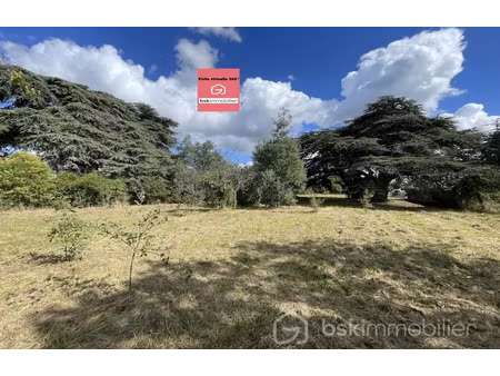 vente terrain 1848 m² à saint-sulpice (81370)  363 000 €