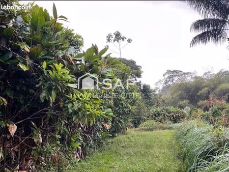 terrain 16608 m² roura