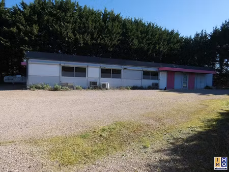 vente locaux professionnels 0 pièces 250 m² à vignoux-sous-les-aix (18110)  142 900 €