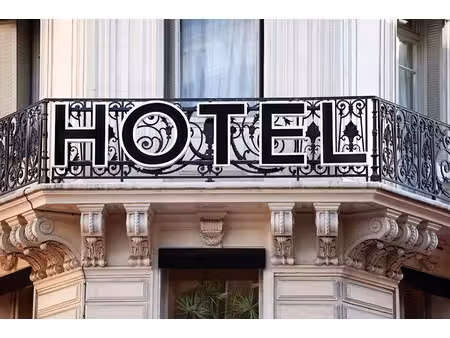 vente hôtel particulier 30 pièces 524 m² à domarin (38300)  1 800 000 €