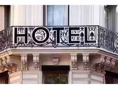 vente hôtel particulier 30 pièces 524 m² à domarin (38300)  1 900 000 €