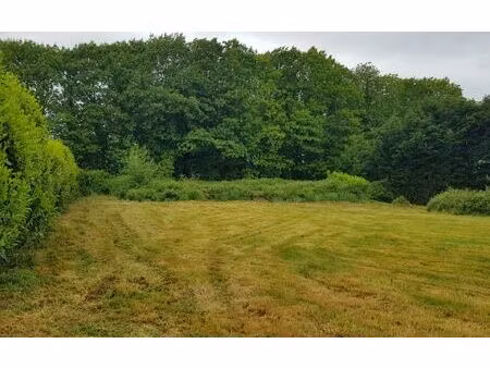 terrain ploumagoar m² t- à vendre  60 500 €