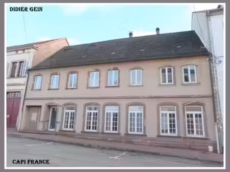 vente immeuble 17 pièces 507 m² à bitche (57230)  96 000 €