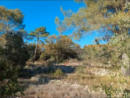 terrain agricole