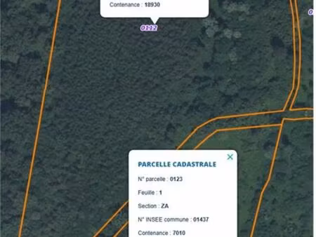 parcelle forestière
