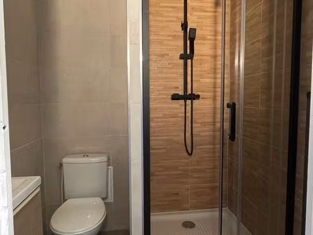 appartement rénové t2 - 42m2 - centre-ville bellegarde