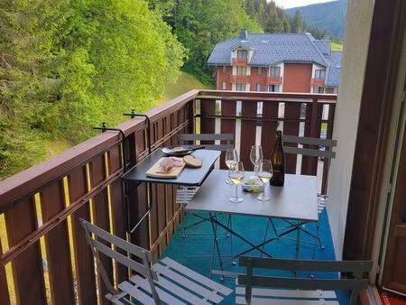 appartement meublé 2 pièces 23m2 + balcon terrasse (11m2) et grande cave - rare a la vente