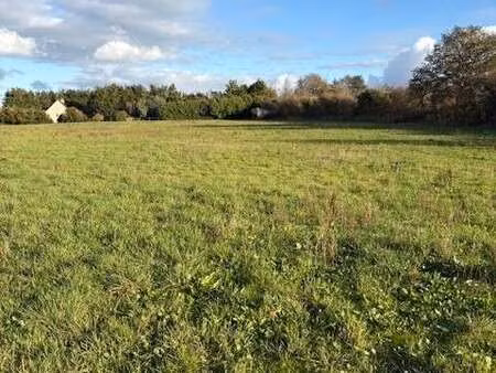 vente terrain à saint-sylvain-d'anjou (49480) : à vendre / saint-sylvain-d'anjou