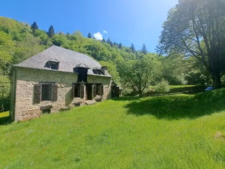 magnifique ancien moulin rénové - la roche canillac