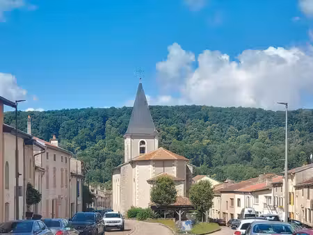 maison lorraine avec jardin et garage