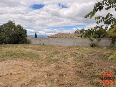 terrain