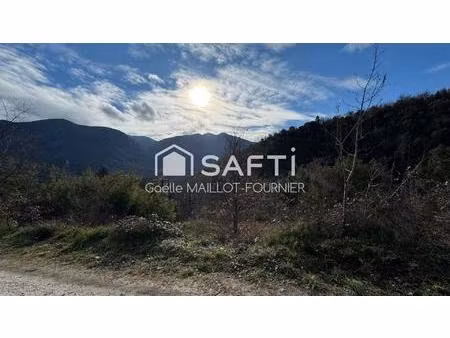 grand terrain à bâtir avec forêt.