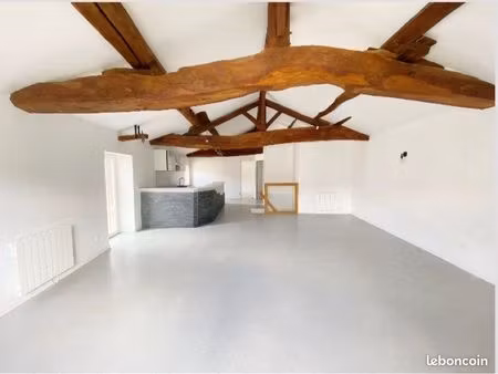 appartement style loft centre ville thoissey 01140