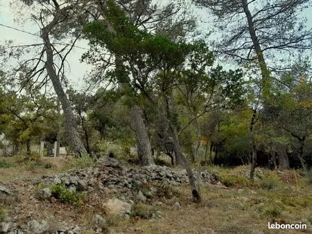 terrain 700 m² saint maximin la sainte baume