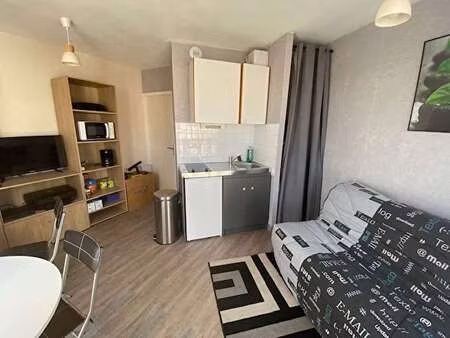 location appartement t1 meublé à sainte-gemmes-sur-loire (49130) : à louer t1 meublé / 18m