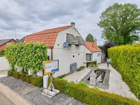 maison à vendre à hamont € 399.000 (lofom) - vastgoed coenjaerts | zimmo