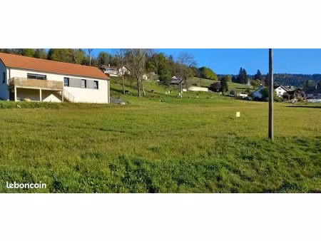 terrain constructible