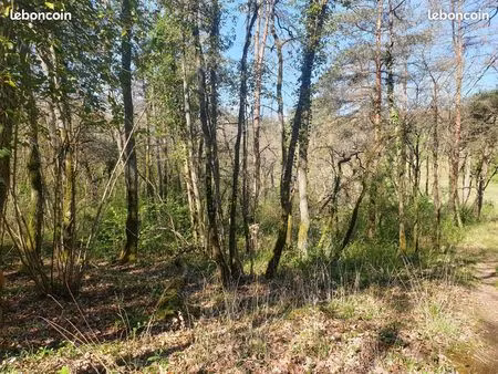 vente de 3 terrains boisés - 4031 m2 à vayres-sur-essonne (région parisienne)