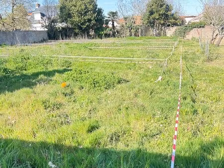 terrain potager