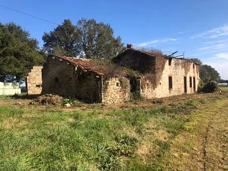 ruine en pierre  les châtelliers-châteaumur