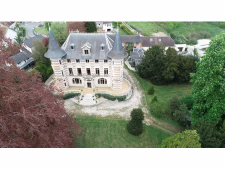 propriété à vendre jaulgonne 40 pièce(s) 1160m2 1 720 000€